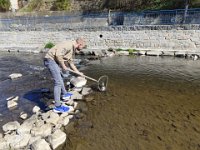 Zarybňování Litavky (18)